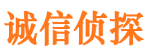 禄劝市侦探调查公司